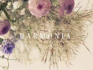 zagaia_13_projects_harmonia_THUMB